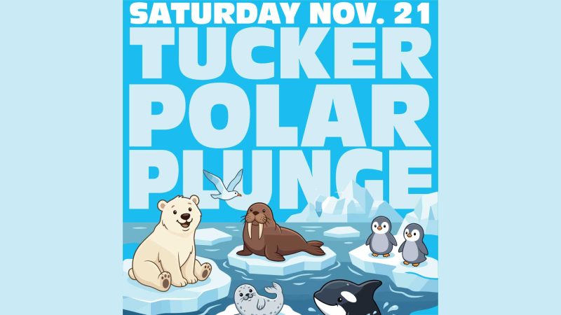 Polar Plunge